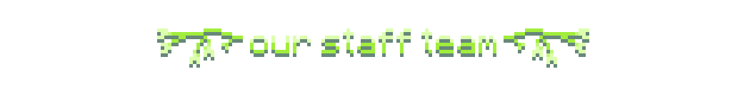 title: our staff team